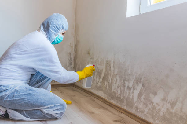 Licensed Crawl Space Mold Removal service in Marlborough, MA - WQB Mold Removal