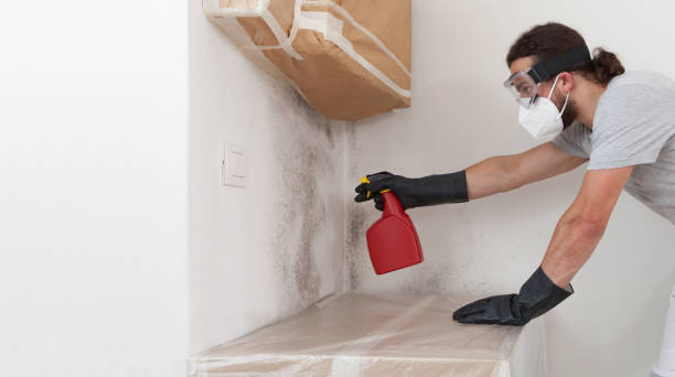 Professional Crawl Space Mold Removal technician working in Marlborough, MA