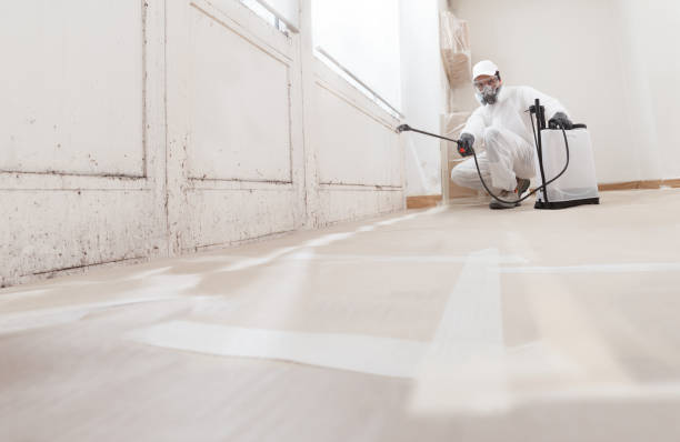24/7 Emergency Crawl Space Mold Removal experts in Marlborough, MA