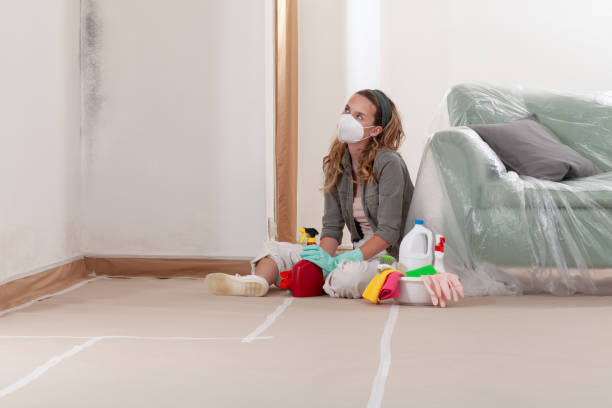 Reliable Crawl Space Mold Removal contractor in Marlborough, MA by WQB Mold Removal